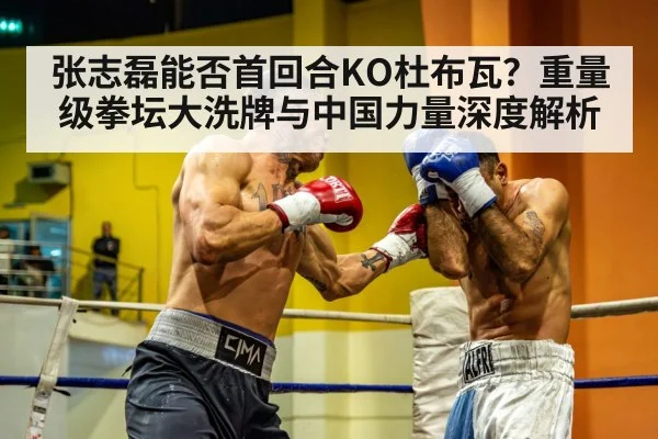 张志磊能否首回合KO杜布瓦？重量级拳坛大洗牌与中国力量深度解析