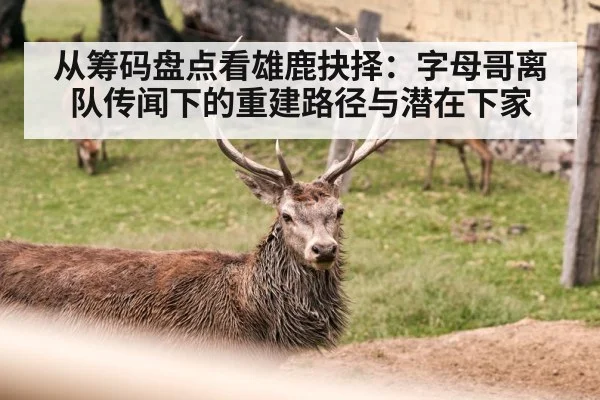 从筹码盘点看雄鹿抉择：字母哥离队传闻下的重建路径与潜在下家